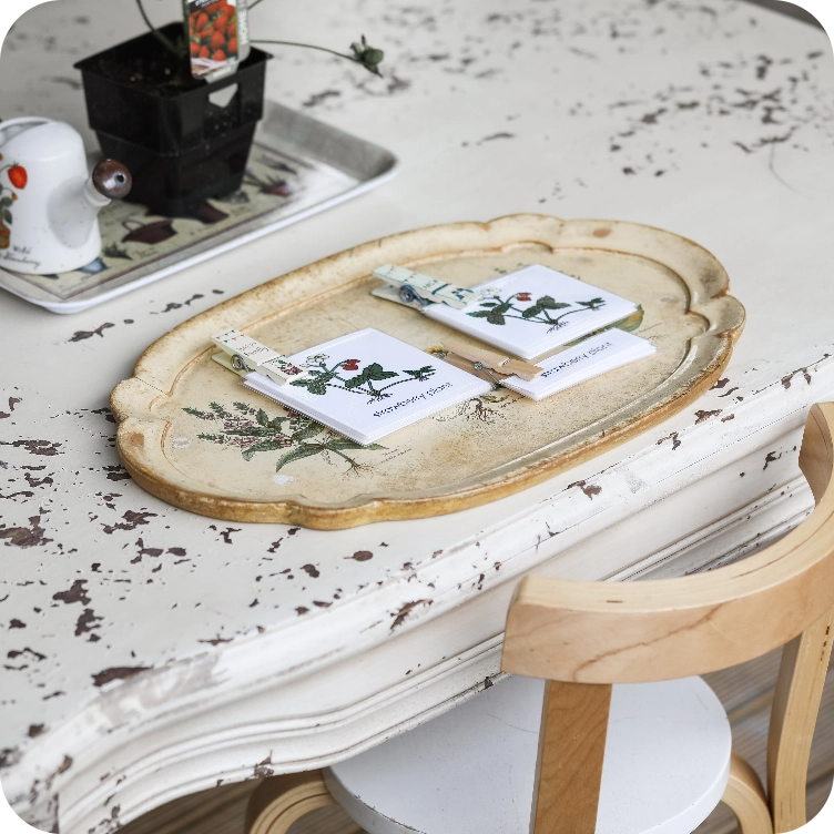 417A5067Surf_4.12.22@2x